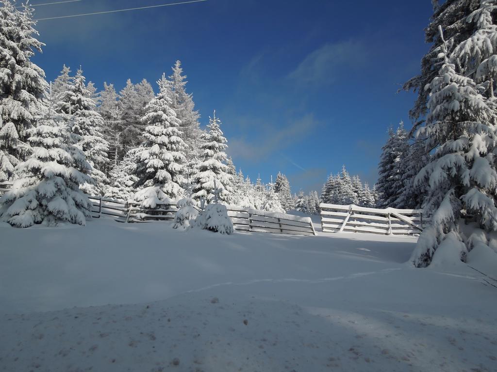 Blockhaus Bodefall Braunlage Rom bilde