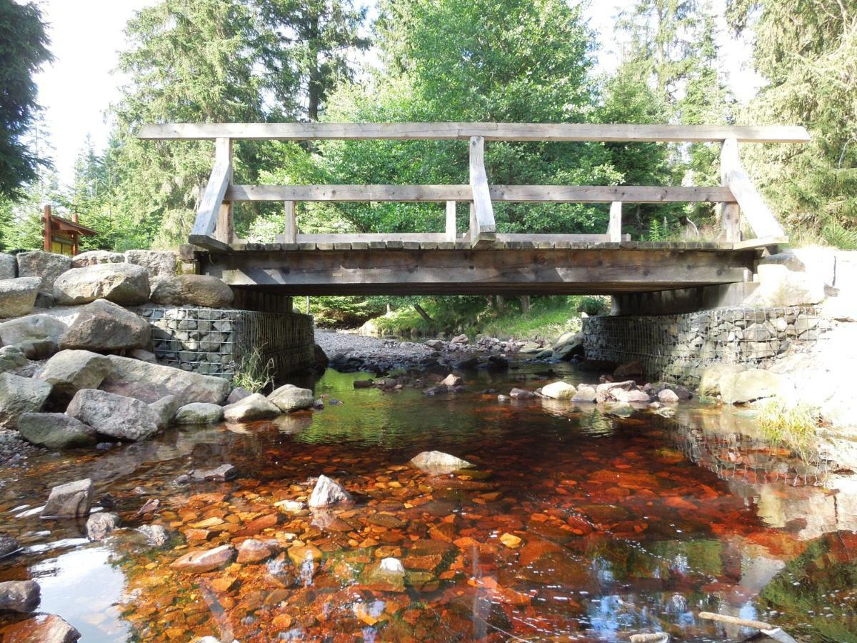 Blockhaus Bodefall Braunlage Eksteriør bilde